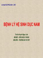 Bài giảng Bệnh lý hệ sinh dục nam - ThS.BS Huỳnh Ngọc Linh