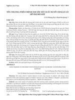 Tổn thương phổi ở bệnh nhi sốc sốt xuất huyết dengue có hỗ trợ hô hấp