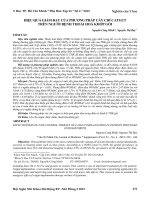 Hiệu quả giảm đau của phương pháp cấy chỉ catgut trên người bệnh thoái hoá khớp gối