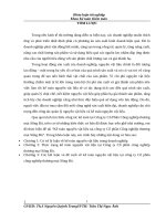 Kế toán nguyên vật liệu tại công ty cổ phần công nghiệp thương mại sông đà 