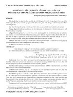 Nghiên cứu kết quả bước đầu lọc máu liên tục điều trị suy tim cấp mất bù có hoặc không có suy thận