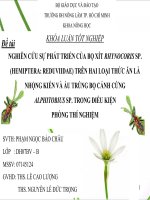 Khóa luận tốt nghiệp: Nghiên cứu sự phát triển của bọ xít Rhynocoris sp. (Hemiptera: Reduviidae) trên hai loại thức ăn là nhộng kiến và ấu trùng bọ cánh cứng Alphitobius