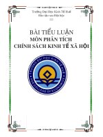 Bài tiểu luận môn Phân tích chính sách kinh tế xã hội: Phân tích chính sách Dân số - Kế hoạch hóa gia đình Tỉnh Thừa Thiên Huế