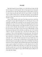 Phát triển xuất khẩu mặt hàng thủ công mỹ nghệ của công ty TNHH đổi mới sang thị trường EU 