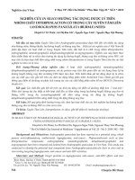 Nghiên cứu in silico hướng tác dụng dược lý trên nhóm chất diterpenlacton có trong cây Xuyên Tâm Liên (Andrographis paniculata (Burm.f.) Nees)