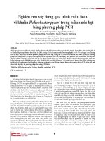Nghiên cứu xây dựng quy trình chẩn đoán  vi khuẩn Helicobacter pylori trong mẫu nước bọt bằng phương pháp PCR
