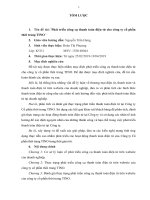 Phát triển công cụ thanh toán điện tử cho công ty cổ phần thời trang TINO 