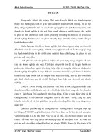 Kế toán chi phí sản xuất sản phẩm vỏ ốp điện thoại tại công ty TNHH young in electronic việt nam 