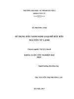 Sử dụng dây nano kim loại để bắt bẫy nguyên tử lạnh (2017) 