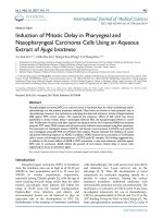 Induction of mitotic delay in pharyngeal and nasopharyngeal carcinoma cells using an aqueous extract of Ajuga bracteosa