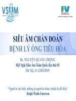Bài giảng Siêu âm chẩn đoán bệnh lý ống tiêu hóa