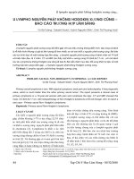 U lympho nguyên phát không Hodgkin xương cùng - báo cáo trường hợp lâm sàng