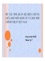 Bài thuyết trình Mối quan hệ biện chứng giữa đổi mới kinh tế và đổi mới chính trị ở Việt Nam