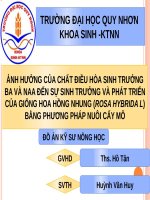 Đồ án kỹ sư nông học: Ảnh hưởng của chất điều hòa sinh trưởng BA và NAA đến sự sinh trưởng và phát triển của giống hoa hồng nhung (Rosa hybrida l) bằng phương pháp nuôi cấy mô