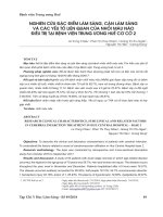 Nghiên cứu đặc điểm lâm sàng, cận lâm sàng và các yếu tố liên quan của nhồi máu não điều trị tại Bệnh viện Trung Ương Huế cơ cở 2