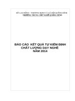 Báo cáo: Kết quả tự kiểm định chất lượng dạy nghề năm 2014