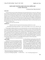 Nhân một trường hợp lâm sàng hiếm gặp: U hắc tố ở gan