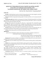 Khảo sát tình hình sử dụng thuốc hạ đường huyết ở người cao tuổi đái tháo đường típ 2 tại phòng khám nội tiết Bệnh viện Thống Nhất