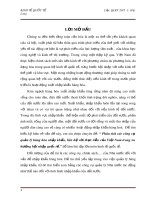 Bài tiểu luận: Phân tích các công cụ quản lý hàng hóa nhập khẩu, liên hệ với thực tiễn của Việt Nam trong xu hướng hội nhập quốc tế