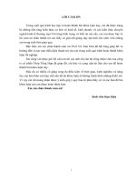 Phát triển thương mại mặt hàng thép của công ty cổ phần thép tổng hợp trên thị trường nội địa 