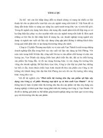 Phát triển thị trường tiêu thụ sản phẩm vật liệu xây dựng của công ty cổ phần thương mại dịch vụ và sản xuất vạn thành 