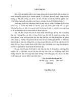 Giải pháp phát triển sản phẩm của công ty cổ phần du lịch nối liền châu á 