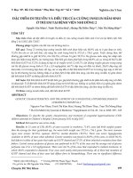 Đặc điểm di truyền và điều trị của cường insulin bẩm sinh ở trẻ em tại Bệnh viện Nhi Đồng 2