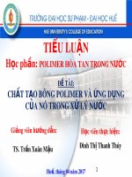 Tiểu luận: Chất tạo bông polimer và ứng dụng của nó trong xử lý nước
