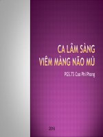 Bài giảng Ca lâm sàng viêm màng não mủ - PGS.TS. Cao Phi Phong