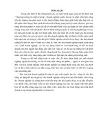 Phát triển văn hóa doanh nghiệp tại công ty TNHH JWORLD VINA 