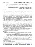 Khảo sát sự tương quan giữa nồng độ TRAb với độ nặng và độ hoạt tính của bệnh nhãn giáp