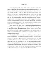 Đẩy mạnh hoạt động truyền thông marketing qua mạng xã hội facebook cho công ty cổ phần đầu tƣ thƣơng mại và phát triển công nghệ VIETTEK 