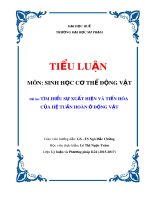 Tiểu luận môn Sinh học cơ thể động vật: Tìm hiểu sự xuất hiện và tiến hóa của hệ tuần hoàn ở động vật