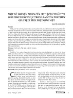 Một số nguyên nhân của sự “lệch chuẩn” và giải pháp khắc phục trong bảo tồn phát huy giá trị di tích phật giáo Việt