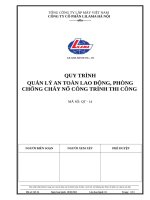 Quy trinh ATLD PCCN (x) 