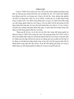 Giải pháp nhằm nâng cao chất lƣợng nguồn nhân lực tại công ty TNHH vật tƣ khoa học nam việt 