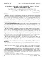 Kết quả ban đầu phẫu thuật nội soi lấy sỏi qua da qua đường hầm vào thận nhỏ tại Bệnh viện Đa khoa Thống Nhất Đồng Nai