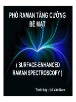 Bài thuyết trình Phổ Raman tăng cường bề mặt