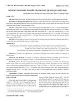 Nội soi tán sỏi siêu âm điều trị sỏi bàng quang qua niệu đạo