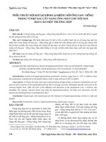 Phẫu thuật nội soi tạo hình lại miệng nối ống gan – hỗng tràng vì hẹp sau cắt nang ống mật chủ nôi soi: Báo cáo một trường hợp