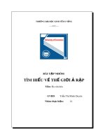 Bài tập nhóm môn Đa văn hóa: Tìm hiểu về thế giới Ả Rập