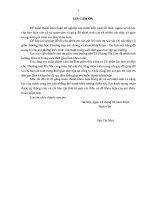 Giải pháp marketing phát triển thị trường khách du lịch nội địa của công ty cổ phần du lịch và hội chợ thương mại hà nội 