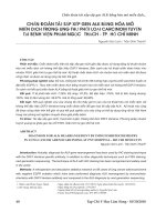 Chẩn đoán tái sắp xếp gen ALK bằng hóa mô miễn dịch trong ung thư phổi loại carcinom tuyến tại Bệnh viện Phạm Ngọc Thạch Tp. Hồ Chí Minh