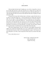 Hoàn thiện chính sách quảng cáo của công ty trách nhiệm hữu hạn du thương mại du lịch và khách sạn việt nam thuận ý 