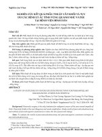 Nghiên cứu kết quả phẫu thuật cắt khối tá tụy do các bệnh lý ác tính vùng quanh nhú Vater tại Bệnh viện Bình Dân