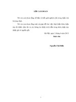 Khóa luận tốt nghiệp: Đánh giá tình hình cung ứng phân bón cho các hộ nông dân trên địa bàn xã Dân Lý, huyện Triệu Sơn, tỉnh Thanh Hóa