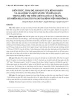 Kiến thức, thái độ, hành vi của bệnh nhân và gia đình và một số yêu tố liên quan trong điều trị viêm loét dạ dày tá tràng có nhiễm Helicobacter pyloritại Bệnh viện Nhi Đồng 2