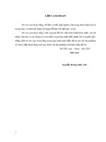 Khóa luận tốt nghiệp: Giải pháp giải quyết việc làm cho lao động nông thôn tại xã Vân Diên, huyện Nam Đàn, tỉnh Nghệ An