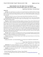 Kích thước các cấu trúc của tai trong ở người trưởng thành trên chụp cắt lớp vi tính