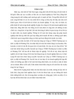 Kế toán bán nhóm hàng loa,mic karaoke tại công ty TNHH thƣơng mại và dịch vụ điện tử phƣơng yến 